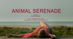 Animal sérénade (C)