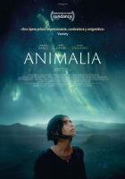 Animalia  - Posters
