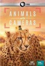 Animales con cámaras (Miniserie de TV)