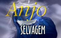 Anjo Selvagem (TV Series) (TV Series) - Poster / Main Image