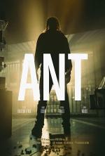 Ant (S)