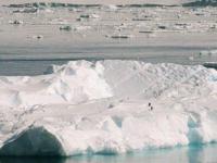 Antarctica: Tales of Ice (C) - Poster / Imagen Principal