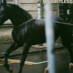 Arlo Parks: Weightless (Vídeo musical)