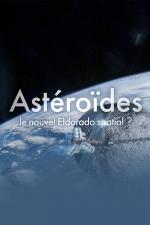 Asteroids - A New El Dorado in Space? 