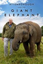 David Attenborough y el elefante gigante (TV)