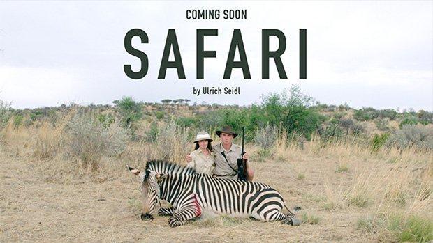 Safari Kino Safari Kino