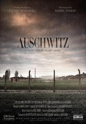Auschwitz (S)