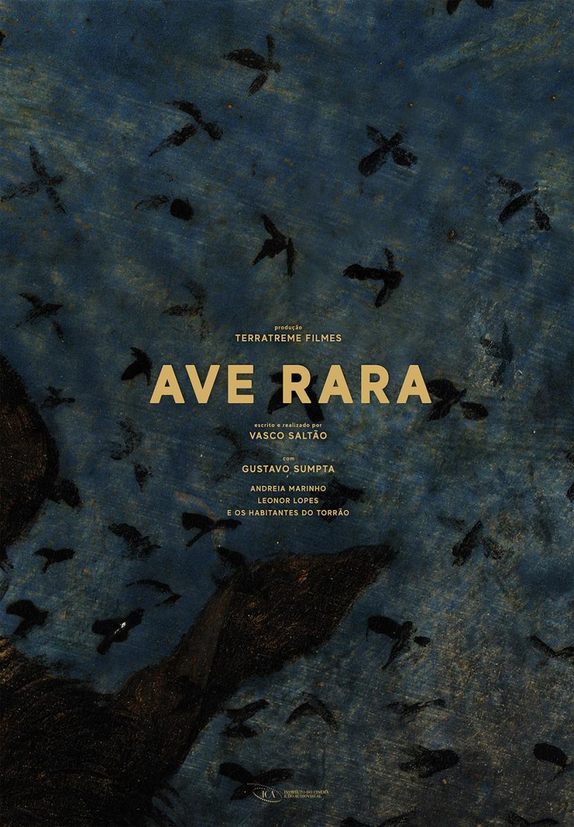 Ave Rara 