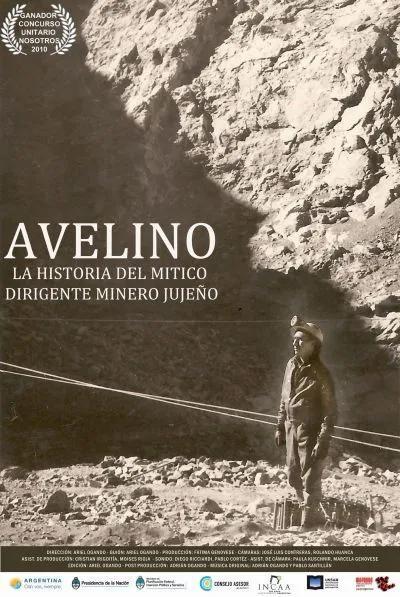 Avelino. La historia del mítico dirigente minero jujeño 