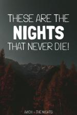 Avicii: The Nights (Vídeo musical)
