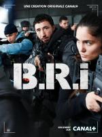 B.R.I. (Miniserie de TV) - Poster / Imagen Principal