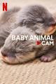 Baby Animal Cam (TV Series)