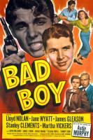 Bad Boy  - Poster / Imagen Principal