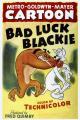Bad Luck Blackie (C)
