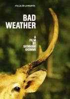 Bad Weather  - 