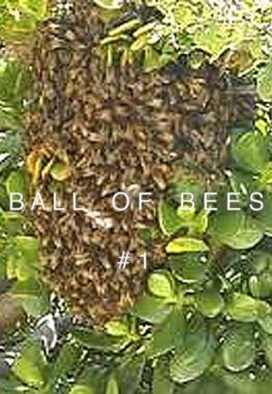 Ball of Bees (C)