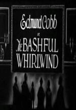 Bashful Whirlwind (C)