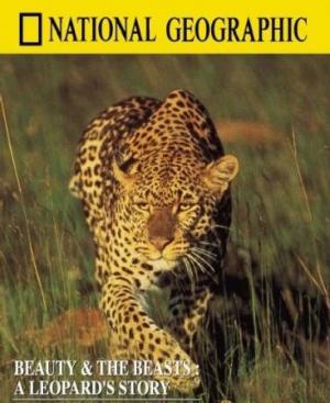 Beauty and the Beasts: A Leopard's Story 