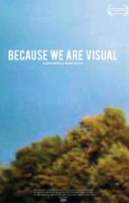 Because We Are Visual 