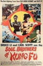 Soul Brothers of Kung Fu 