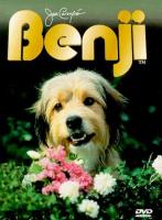 Benji, el perseguido  - Dvd