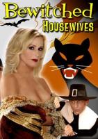 Bewitched Housewives (TV) - Poster / Imagen Principal