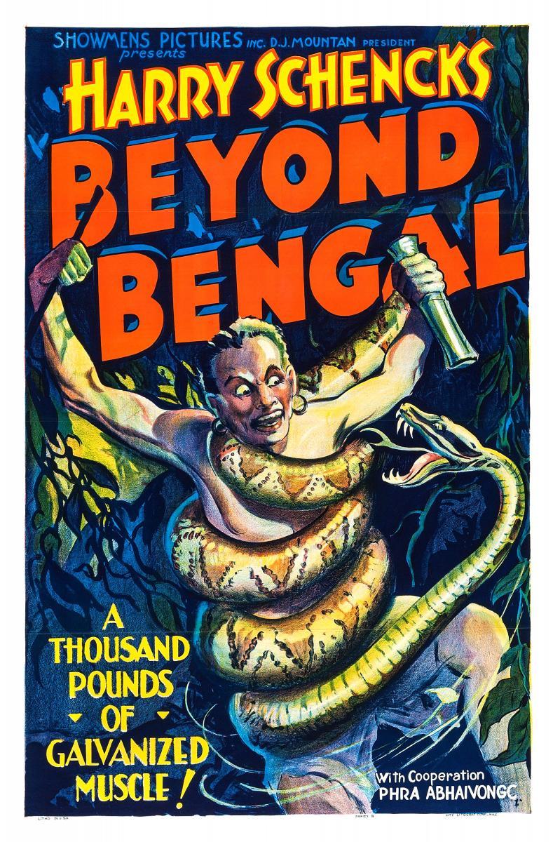 Image Gallery For Beyond Bengal - FilmAffinity