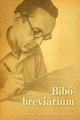 A Bibo Reader 