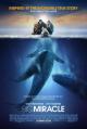 Big Miracle (Everybody Loves Whales) 