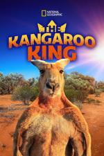 Big Red: The Kangaroo King 