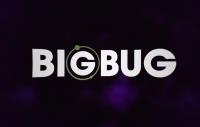 BigBug  - Promo