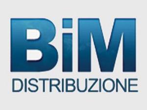 BIM Distribuzione