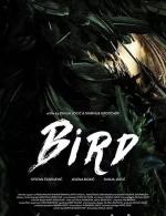 Bird (C)