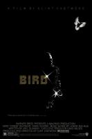 Bird  - Poster / Imagen Principal