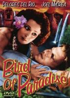 Bird of Paradise  - Dvd
