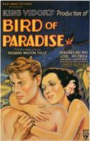 Bird of Paradise  - Poster / Main Image