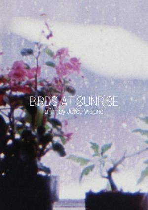 Birds at Sunrise (C)