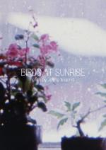 Birds at Sunrise (S)