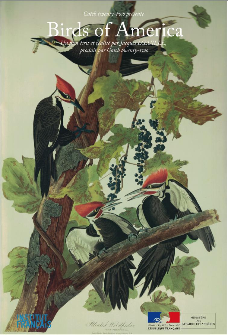 Birds of America  - Posters