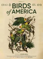 Aves de América 