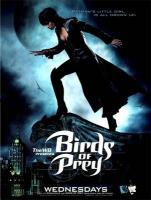 Birds of Prey (TV Series) - Poster / Main Image