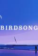 Birdsong (C)