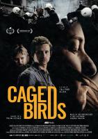 Caged Birds  - 