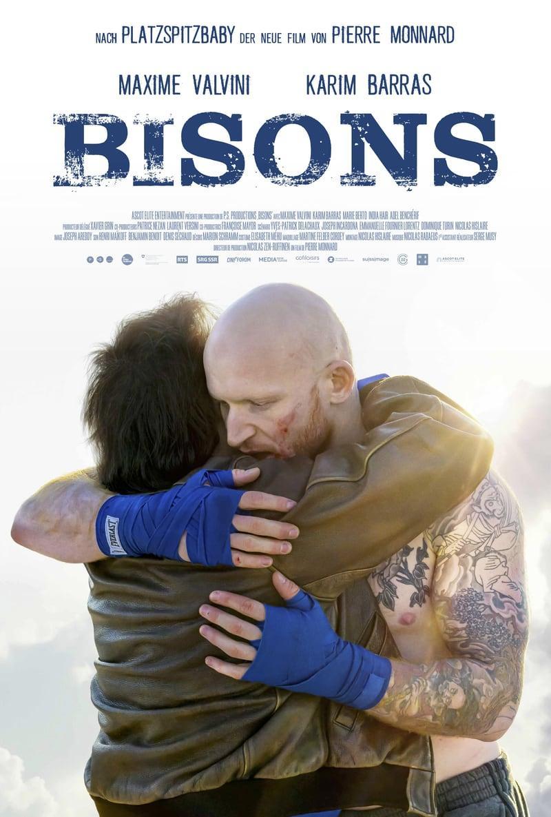 Bisons 