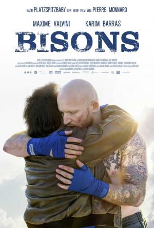 Bisons 