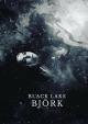 Björk: Black Lake (Vídeo musical)