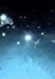Björk: Desired Constellation (Vídeo musical)