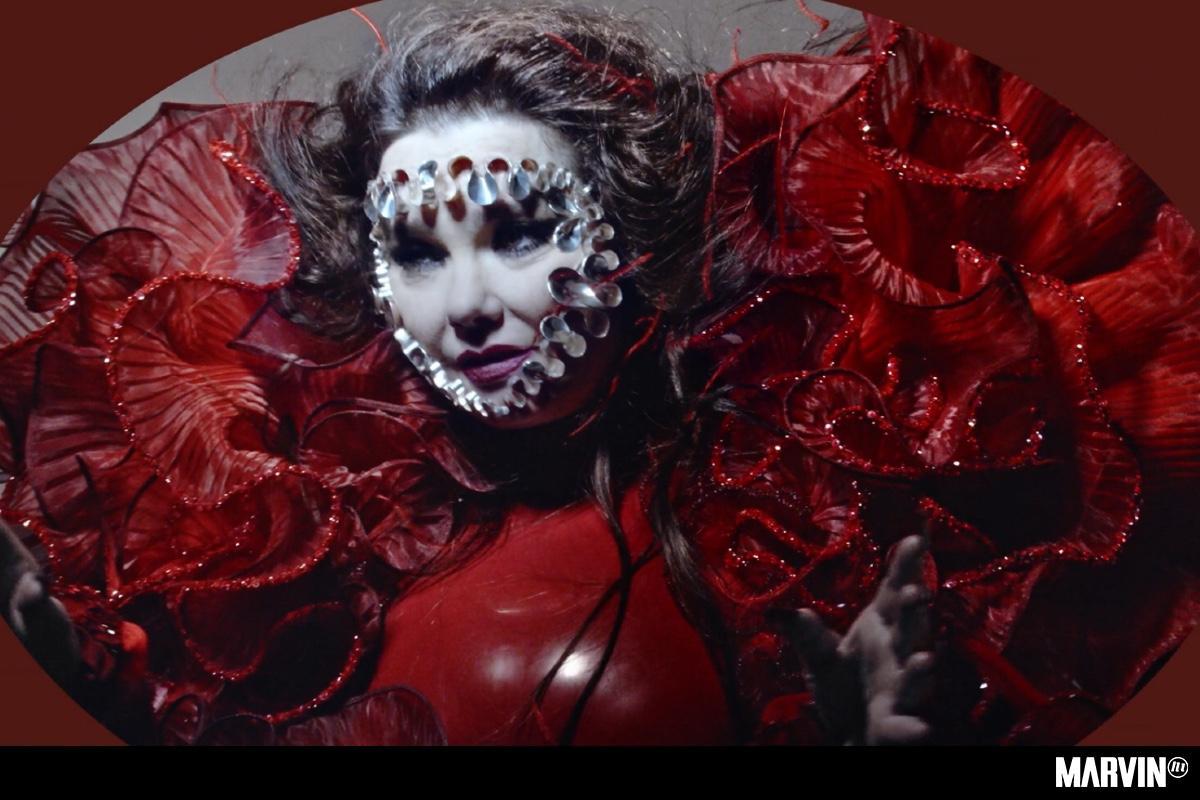 Image Gallery For Björk Ovule Music Video Filmaffinity