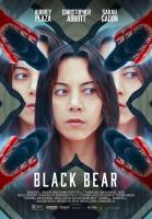 Black Bear  - Poster / Main Image
