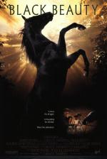 Belleza negra (Un caballo llamado Furia) 